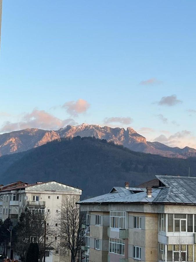 Lala'S Sweet Nest Leilighet Călimăneşti Eksteriør bilde
