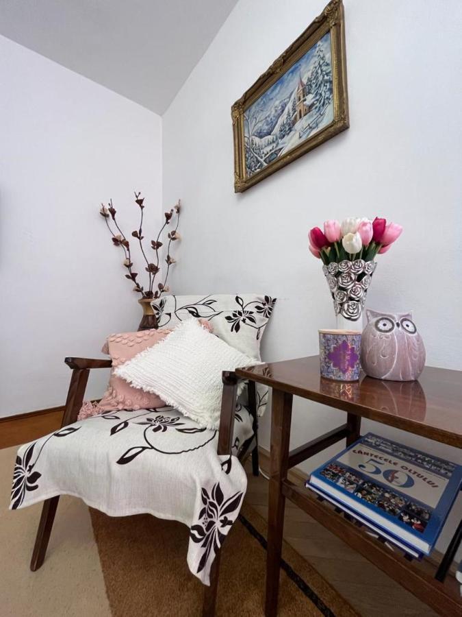 Lala'S Sweet Nest Leilighet Călimăneşti Eksteriør bilde